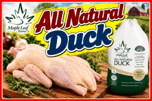 Whole (FROZEN) Ducks 5#